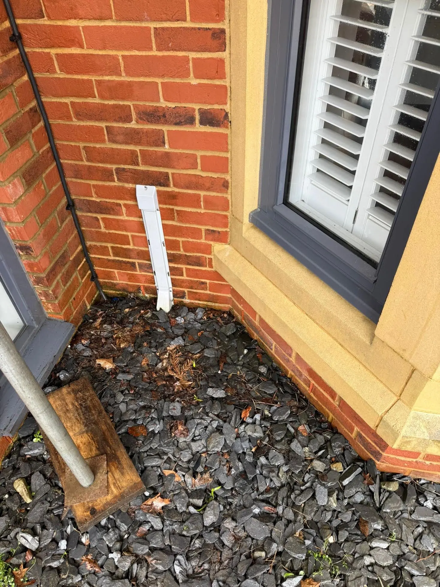 After: House wall cleaned and restored with DOFF