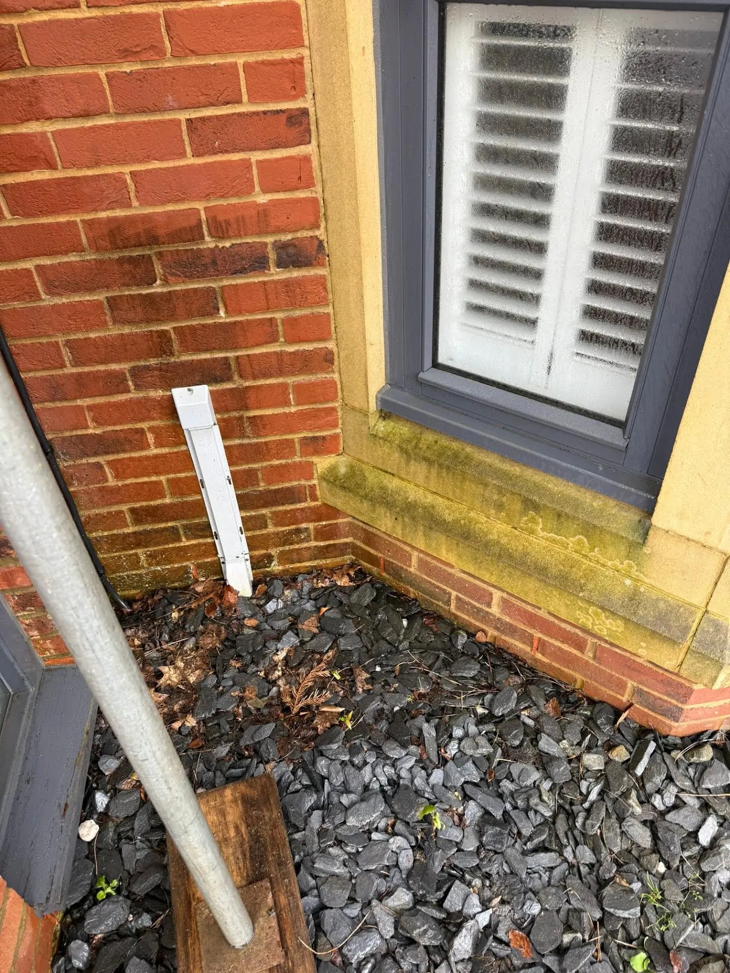 Before: House wall with staining and grime